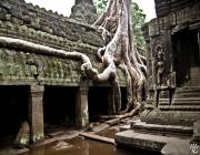 Ta Promh Temple in Siem Reap